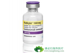 T-DM1����HER2���Ե�θ������Ч������