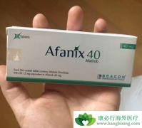 ��������(Afatinib)���Ʒΰ���ת�ƻ�����Ч����