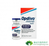 �����Ʒ�Opdivo��Keytruda����������θ��������