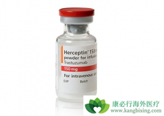 HER2�������ٰ������Ƽ�ʹ�������鵥����