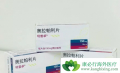 ��������(lynparza)���ѳ������ߵ�������ʲôӰ�죿