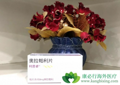 ��������(Olaparib)�Բ������ٰ�������Ч�Ұ�ȫ