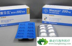 �ڷ��༪��(Sorafenib)���µĿ�ǻ����θ�׵ȸ����ø���δ�����