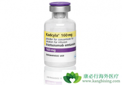 T-DM1/�����鵥����������HER2���Եķΰ�������