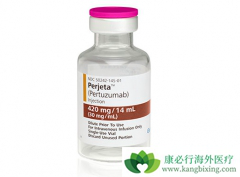 HER2�������ٰ�ʹ�������鵥����T-DM1���Ƶ�Ч������