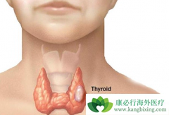 ��״������������û�м�ʱ���ƻ������ЩΣ����