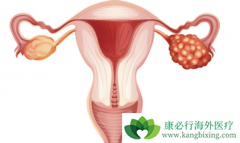 �����ѳ������ߵ��Ƽ����Ʒ�������Щ��