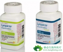 PARP���Ƽ��������������ѳ������ߵ�Ч���ͻ�������ĸ��ã�