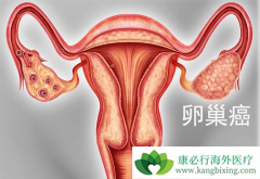 ��ͬ�ѳ����ķ���֢״�ֱ��������ģ�