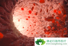 ��Щ֢״Ԥʾ�����ǿ��ܻ�����������ϸ����Ѫ����