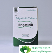EGFR����3ͻ��ΰ��Բ�������(Brigatinib)������