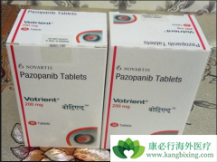 ��������(pazopanib)������ת�ƹ������������о�����������Ч��