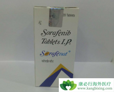 ���ֶ༪�������ø�к�ĸΰ����������ڸ����������