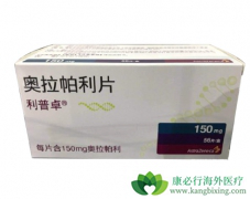 ����������HER2�������ٰ��������Ƶ��Ƽ���ҩ��