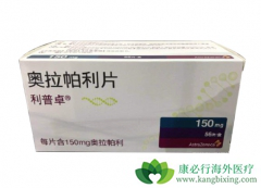 PARP���Ƽ������������ѳ������߸���������ҩ��