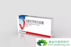 ��������(anlotinib)��ҩע����������Щ��