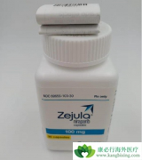 ��������(Niraparib)��ҩ������ͬ�����¼�������Ҳ������ͬ