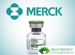 �������鵥��/KҩĿǰ�������ڷ�Сϸ���ΰ���һ������