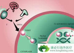 ǰ���ٰ���ҩdarolutamide��������������