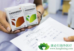 ���ٰ�����ָ���Ƽ�ʹ�ù�������ҩ����������