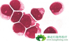 ��Щ֢״�����ǰ�Ѫ��ǰ�ף�