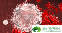 ��Ѫ�����ƽ���������жϣ�����Щ�жϱ�׼��