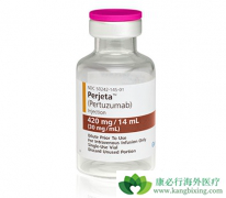 T-DM1�����鵥���������ٰ����ߵ���Ч��ô����