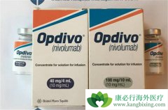 ���䵥��(Nivolumab)��������HCC����ͬ�����а�ȫ��