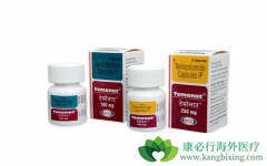 ��Ī��(Temozolomide)�����������ж�ǿ��