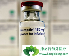�����鵥������HER2�����������ٰ�����Ч����