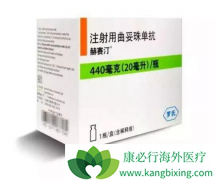 �����鵥���ܷ��������������Ͻ���һ�߽�����ƣ�