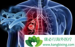 ���������ܺϲ��ΰ���ת�ƵĻ��߿ɳ���ɫ����������