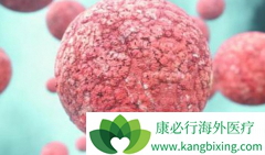 ������ܰ�����ô�Σ���������