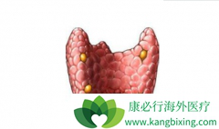 ��״��������������״��������ʲô��ͬ��