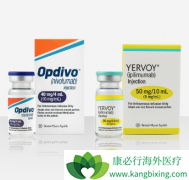 ���ڸΰ�����ʹ���������Ƶ���Ч����