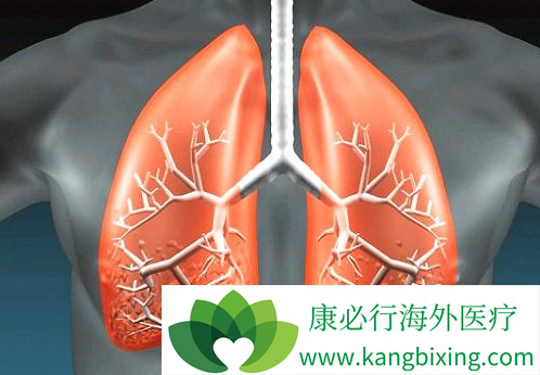 ����ά���ܻ���