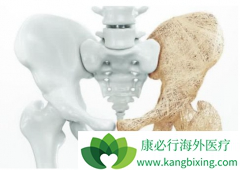 ���ٰ�����ҩ����ú���ֵĹ������ɿ���˫��������������