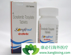 ӡ�ȶ༪���ĸ������������汾��û�в�֮ͬ����