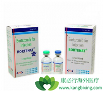 �ı�������ɸ�ҩ��ʽ����Ч������������/������ɵ�PN֢״