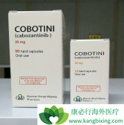 ��������˵������ÿ���Ƽ������Լ��÷��������ģ�