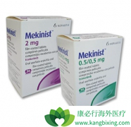 �����������ϴ��������Ǻ�ɫ�������ߵ��Ƽ�������ҩ��