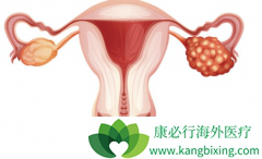 ��Ѫ���������ҩ�����ѳ�����Ч������