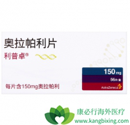 PARP���Ƽ������������ҹ��ѳ������ߵ��׸��ڷ�����ҩ��