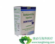 ��������(Bortezomib)���ٴ�Ч���Ͱ�ȫ��