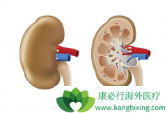 ��������֢״��ʲô���֣���Щ������ת��֢״��