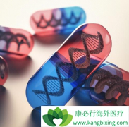 ��������һ���������������ܰ�ϸ����Ѫ�����߰�ȫ��Ч