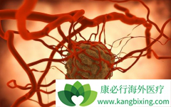 ���׺�������������ʲô��������������ЩΣ����