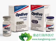 �������ȵ�����Ŀǰ���ʰ��������Ƶ��Ƽ�ҩ����