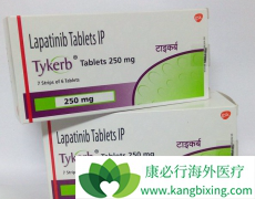 �������������HER2�������ٰ��ĸ������Ʒ�����