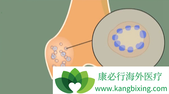 ˫������